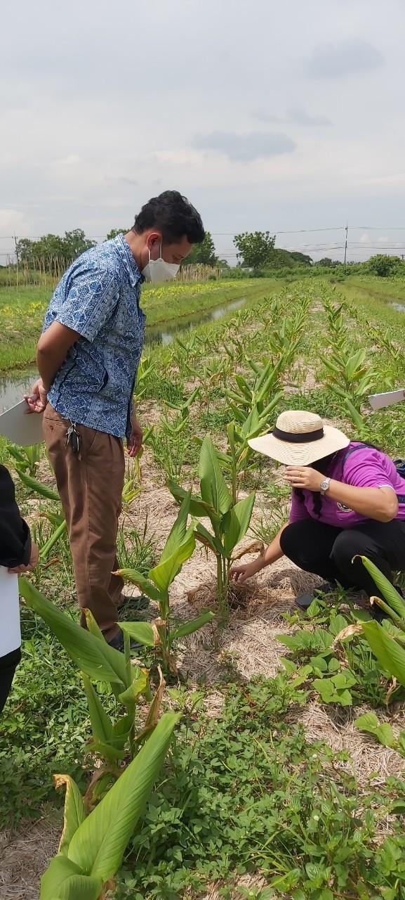 title - ลงพื้นที่ติดตามประเมินผลโครงการศูนย์ส่งเสริมและขยายพันธุ์พืชในเขตปฏิรูปที่ดิน อ.ลาดบัวหลวง จ.พระนครศรีอยุธยา